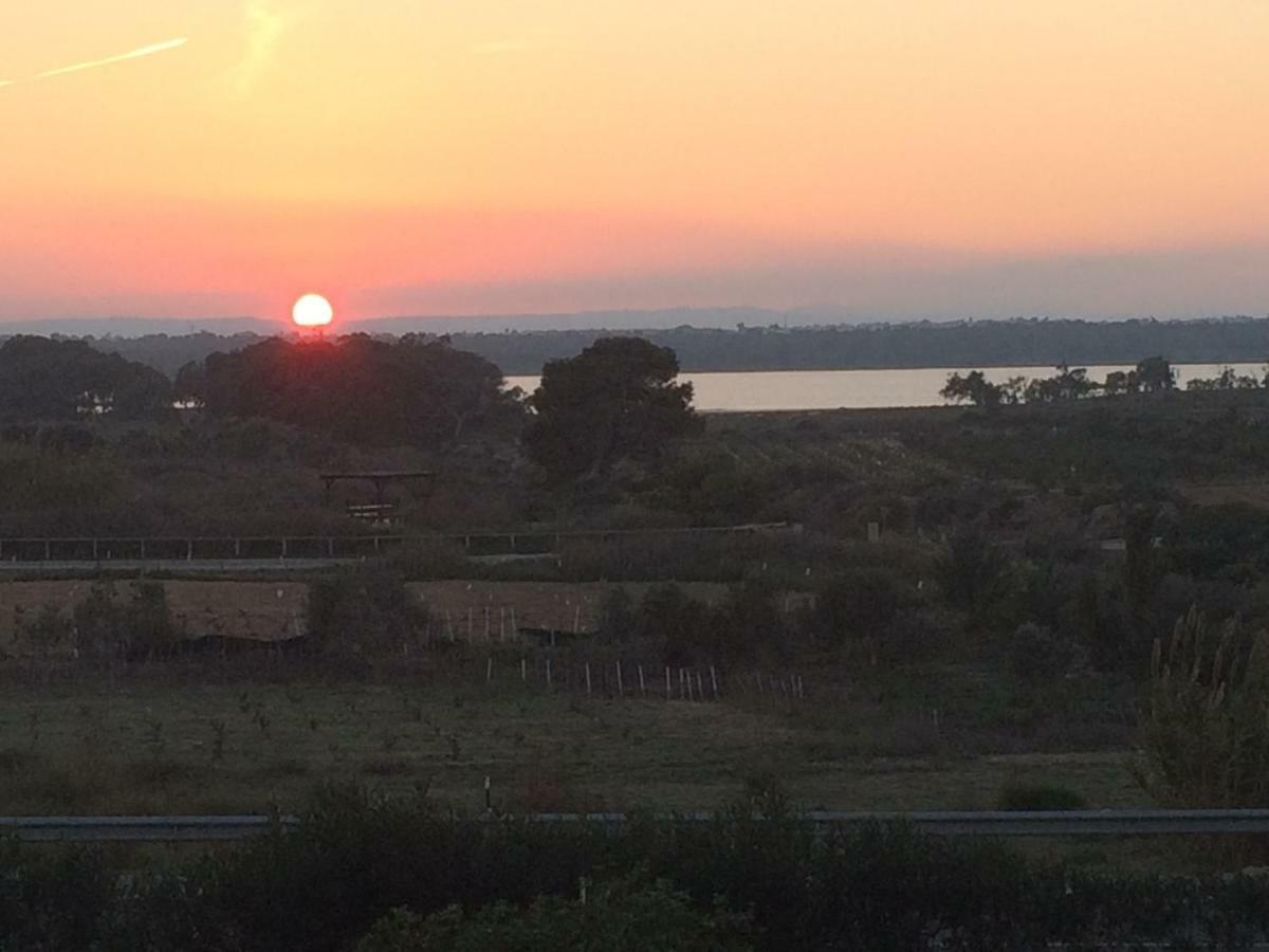 Sunset La Mata La Mata (Torrevieja) Exterior foto